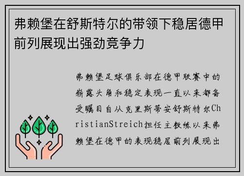 弗赖堡在舒斯特尔的带领下稳居德甲前列展现出强劲竞争力 弗赖堡在舒斯特尔的带领下稳居德甲前列展现出强劲竞争力